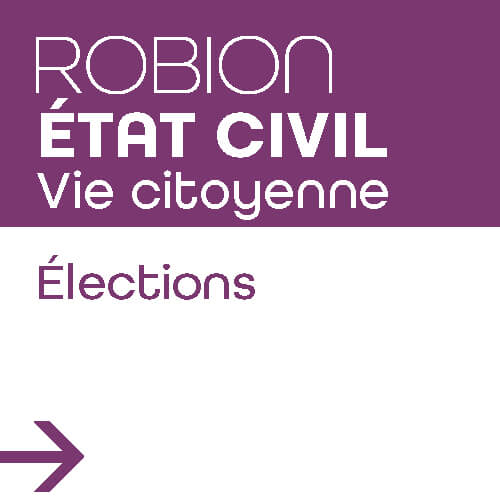 Lien vie citoyenne, élections